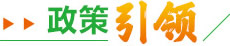 政策引領(lǐng)