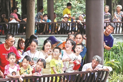 荔枝灣涌舉行“五月五·龍舟鼓” 系列活動(dòng)，現(xiàn)場人山人海，熱鬧非凡。