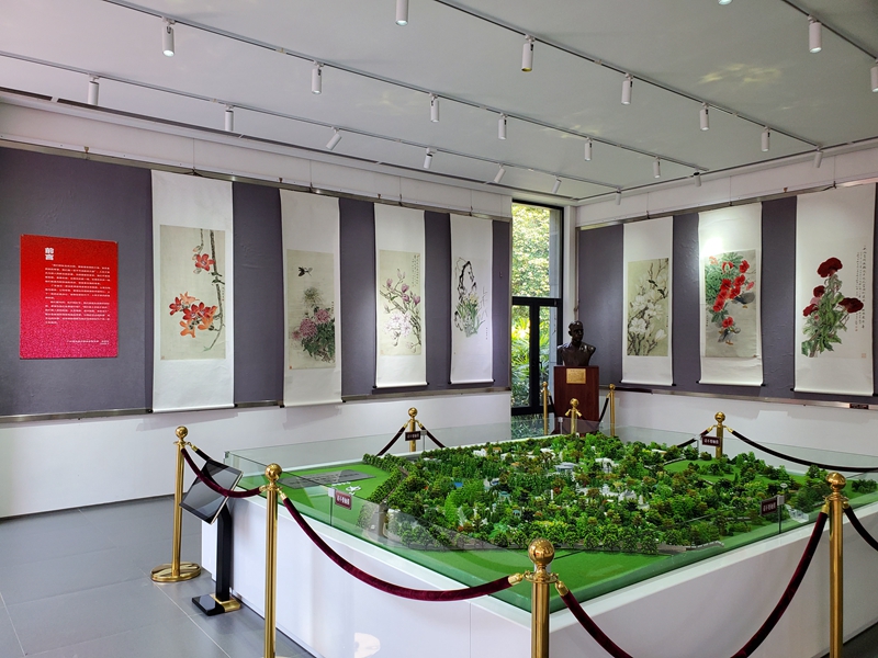 向陽(yáng)花開(kāi)01.jpg
