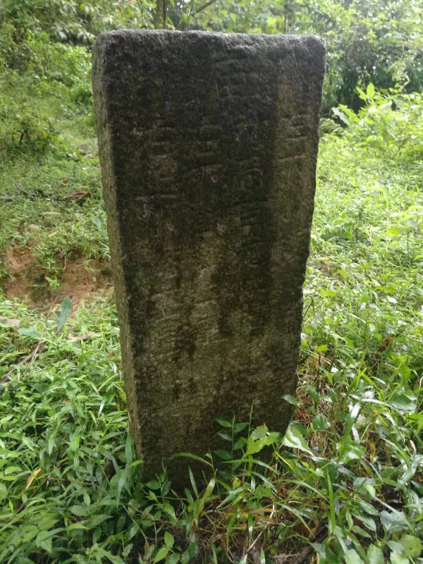 圖片4.jpg