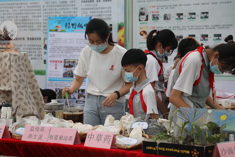 學(xué)生圍繞中草藥開展多種勞動實(shí)踐活動.jpg