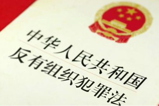 《反有組織犯罪法》來了！全是知識點！