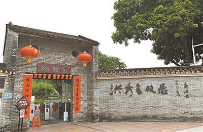 洪秀全手植龍眼樹(shù)195歲了2.jpg