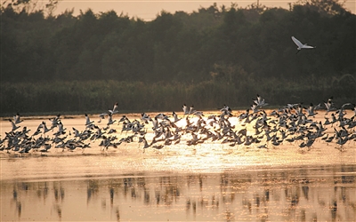 行攝山川巷陌 光影中定格人文之美