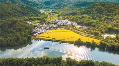 廣州市委農(nóng)辦主任，市農(nóng)業(yè)農(nóng)村局黨組書記、局長(zhǎng)李世通：奮力書寫中國(guó)式農(nóng)業(yè)農(nóng)村現(xiàn)代化的“廣州答卷”