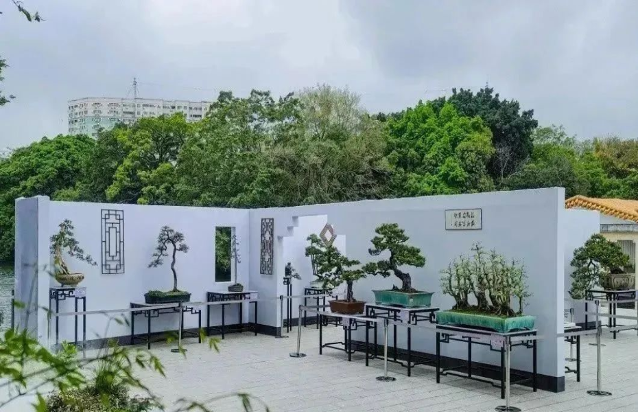 賞花、看展、游園！廣州誠邀全國人民來穗“園博walk”