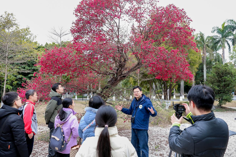 華南國家植物園開展植物辨識科普講解.png