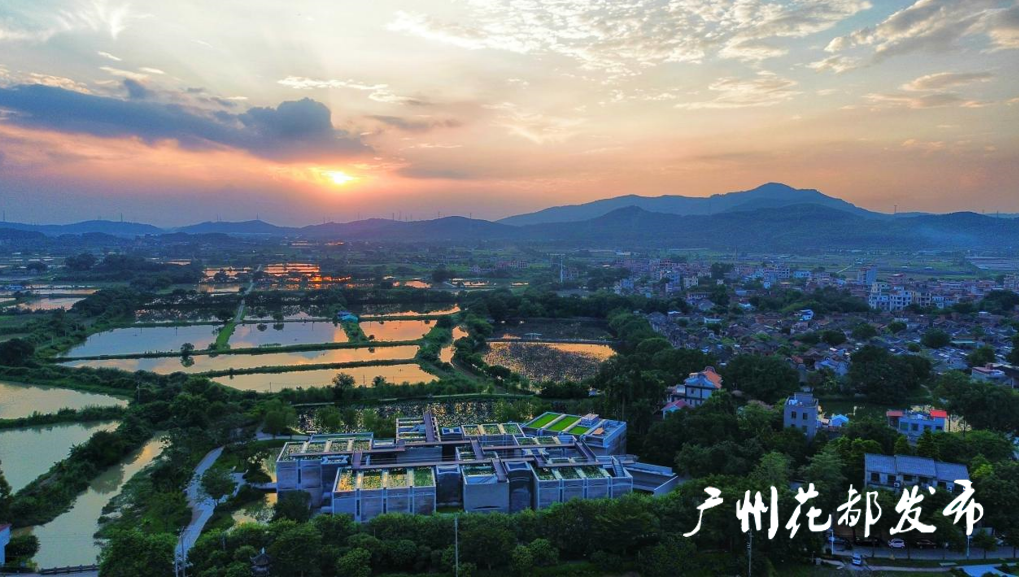 廣州一近700年古村“活了起來(lái)”，多業(yè)態(tài)發(fā)展助村民增收