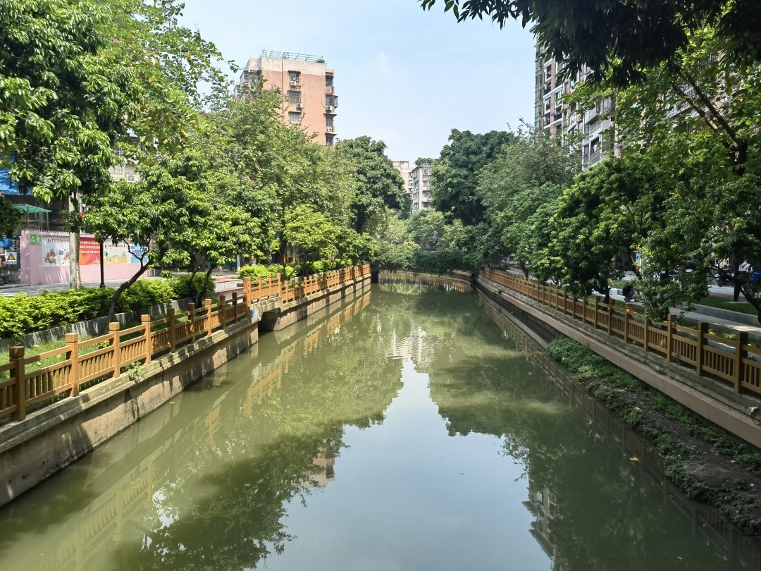 荔灣彩虹街：古水潤民生，打造現(xiàn)代化綠色生態(tài)“名片”