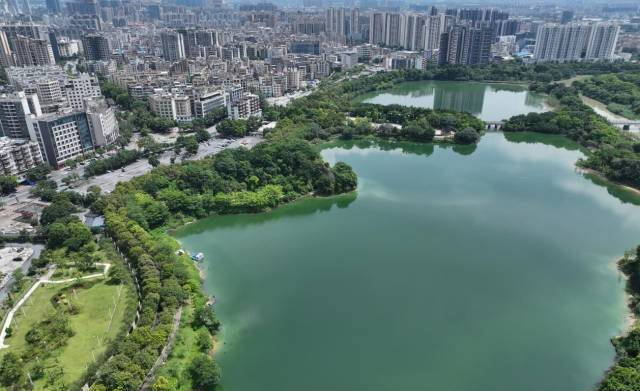 祝賀！花都湖國(guó)家濕地公園入選廣東省自然教育基地