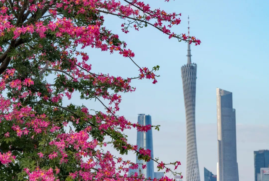 廣州市發(fā)布2024年第3號(hào)總林長(zhǎng)令