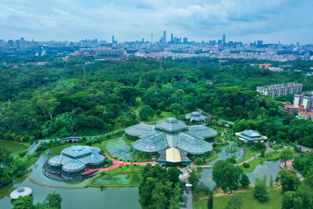 串聯(lián)廣州三大森林公園！市中心森林步道要來(lái)了