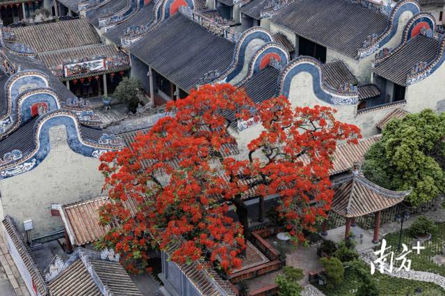  來源：白云區(qū)攝影家協(xié)會