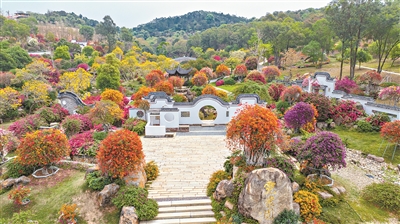 廣州農(nóng)業(yè)正在田間地頭書寫著數(shù)字化、智能化新篇