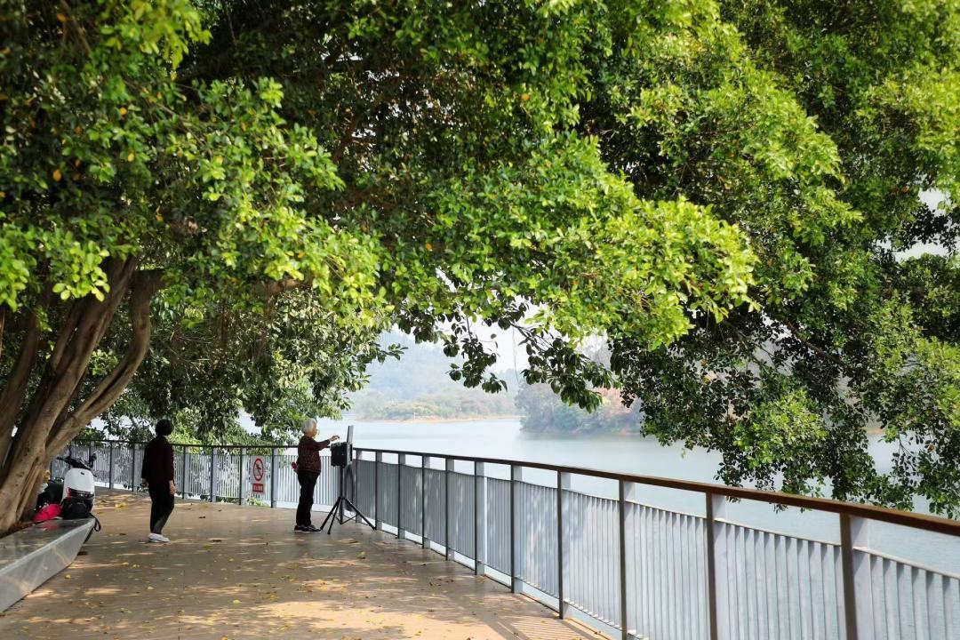 散步、慢跑、騎行、觀景！快來(lái)打卡廣州和龍水庫(kù)碧道