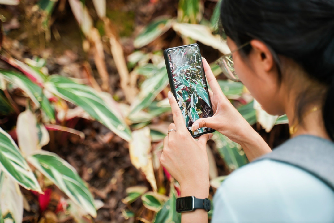 廣州舉辦國際生物多樣性日主題活動