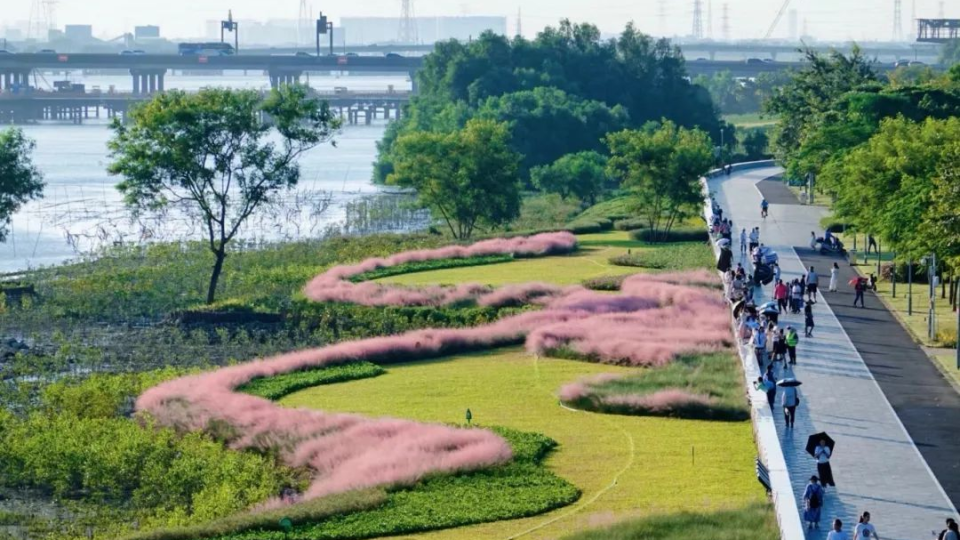 2025年海洋生態(tài)保護修復典型案例評選結果出爐 南沙濕地生態(tài)修復案例入選