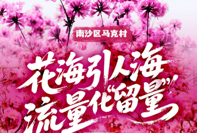 南沙馬克村：花海引人海，流量化“留量”