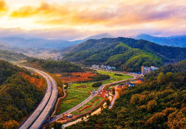 鄉(xiāng)村美如畫(huà)，荔枝紅天下！14條寶藏線路出爐，暢玩廣州荔枝采摘之旅