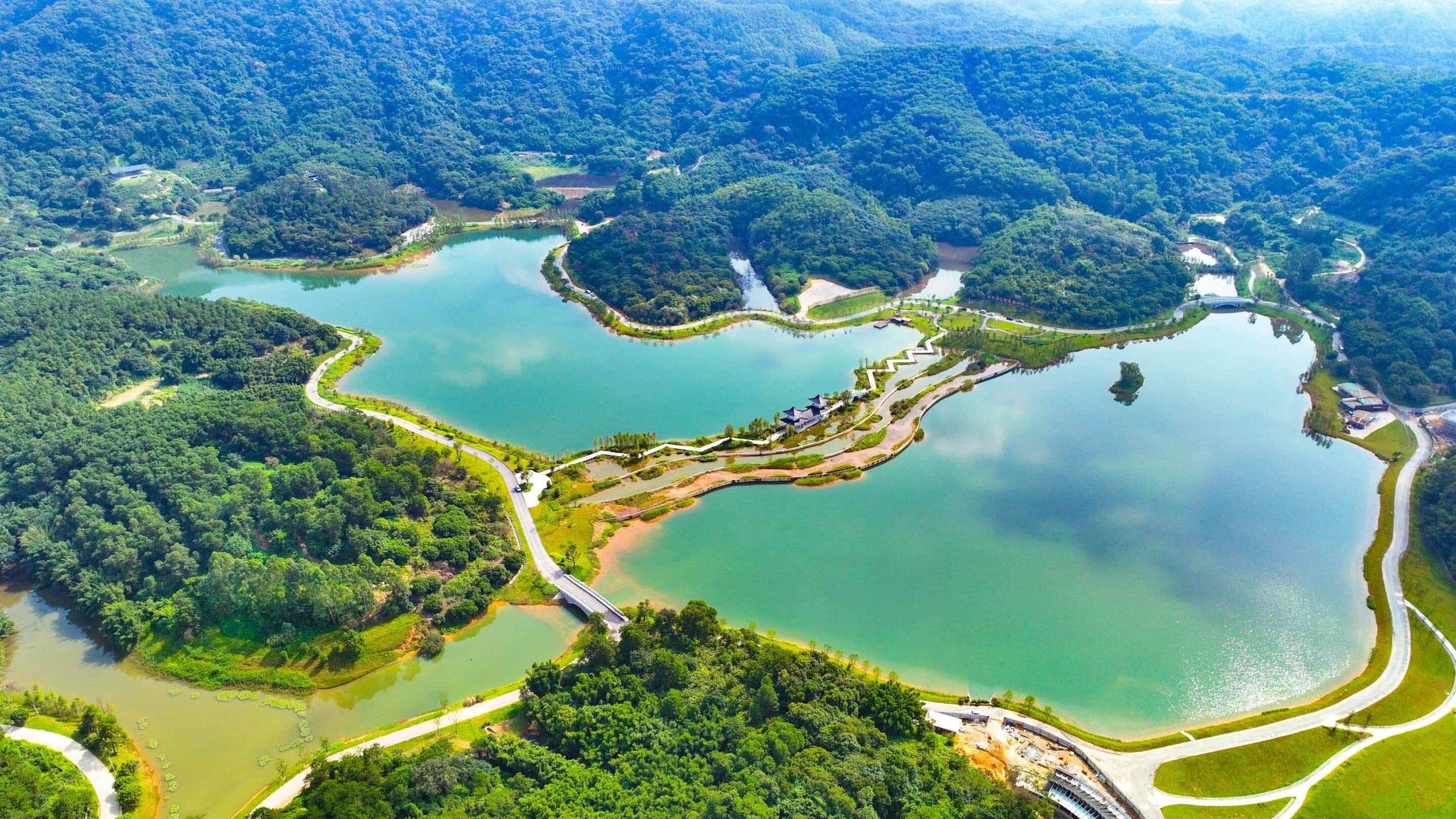 海不揚(yáng)波激蕩創(chuàng)新活力，黃埔再續(xù)“羊城八景”情緣