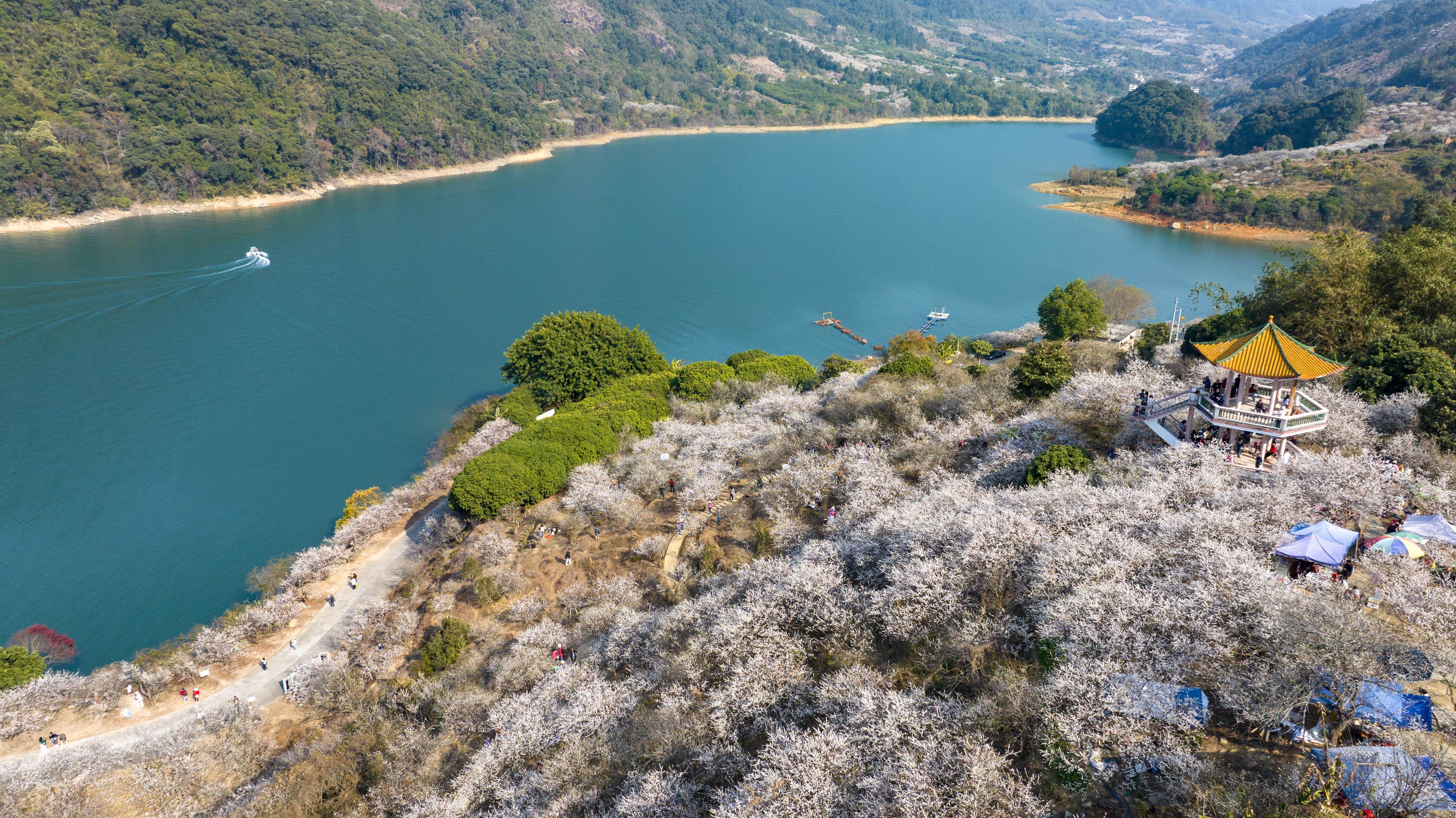 綠海深處涌暖泉，從化五大魅力景，點(diǎn)亮羊城新八景