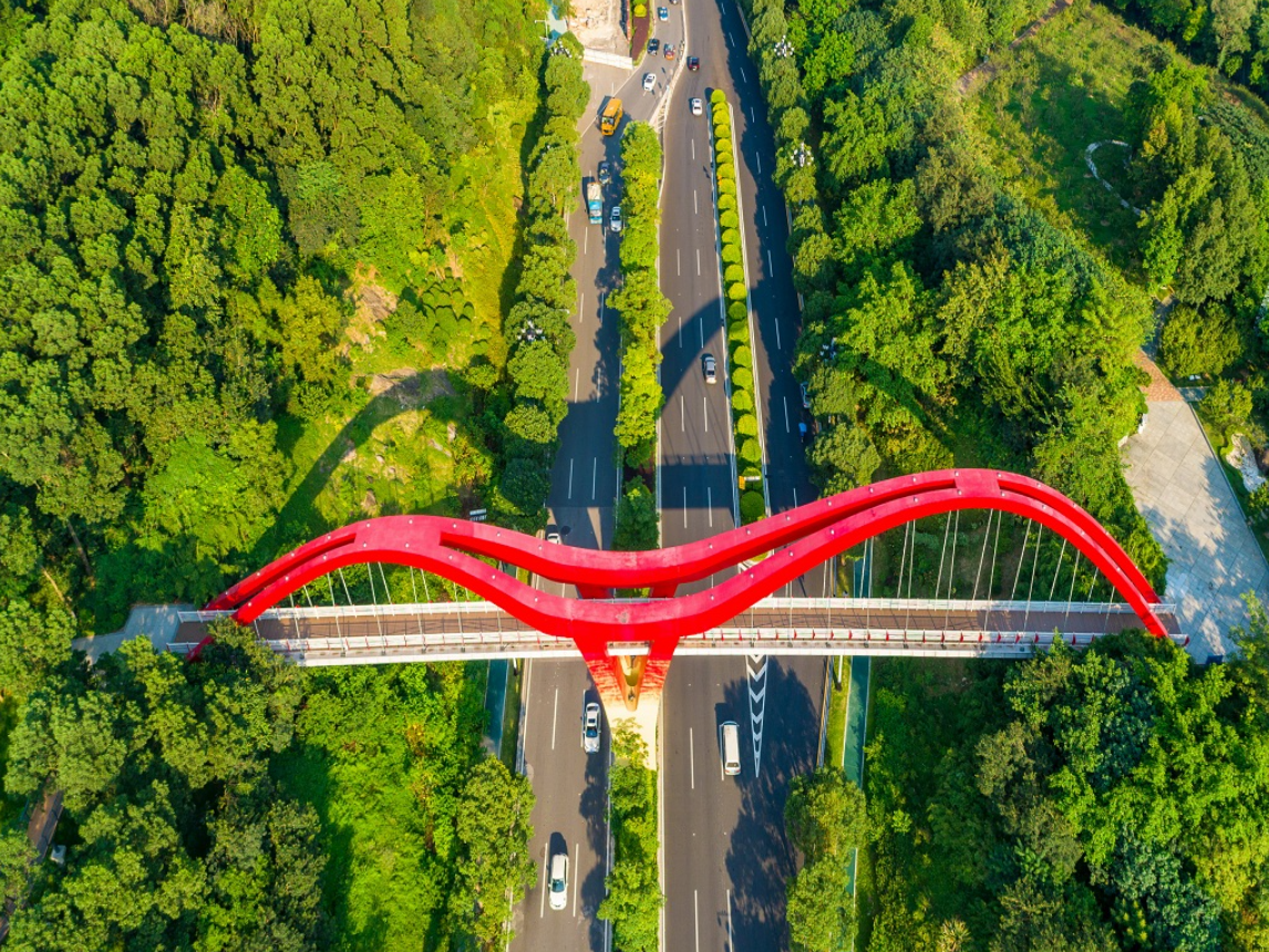 黃埔區(qū)云端綠道-騰翔橋