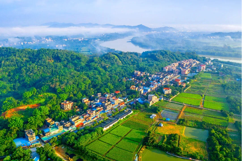 增城美麗鄉(xiāng)村建設(shè)交出亮眼答卷