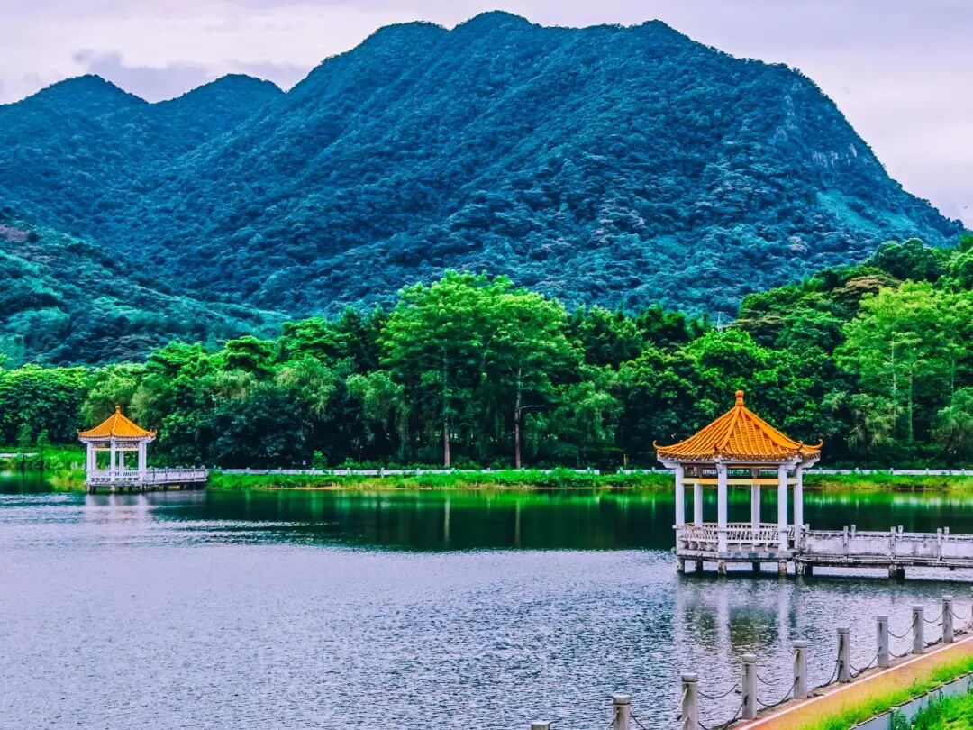 增城“美麗庭院”建設(shè)繪就鄉(xiāng)村振興新圖景“小美”庭院扮靚“大美”鄉(xiāng)村