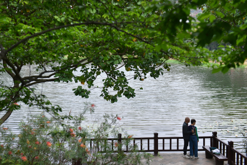 以綠為底，以花為媒！廣州公園景區(qū)80余項(xiàng)1400多場(chǎng)活動(dòng)“慶國(guó)慶、迎全運(yùn)”