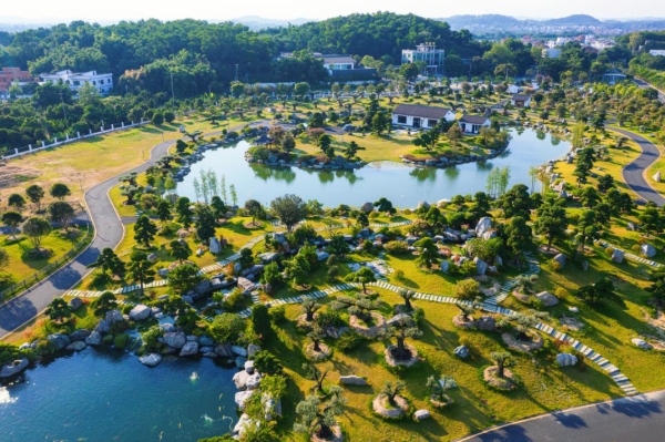 花都區(qū)竹洞村：盆景產(chǎn)業(yè)開(kāi)新路，洪拳碧湖繪和美