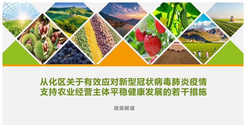 【一圖讀懂】《從化區(qū)關(guān)于有效應(yīng)對(duì)新型冠狀病毒肺炎疫情支持農(nóng)業(yè)經(jīng)營(yíng)主體平穩(wěn)健康發(fā)展的若干措施》的解讀