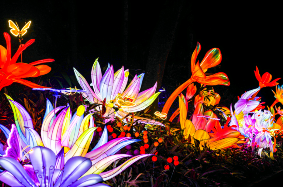 3912a05a899ce3f6ce80.png