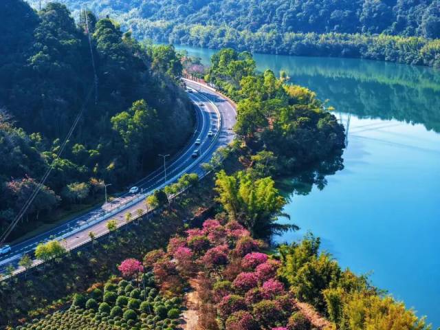 從化這些地方美到出圈！“百千萬(wàn)工程”讓鄉(xiāng)村大變樣