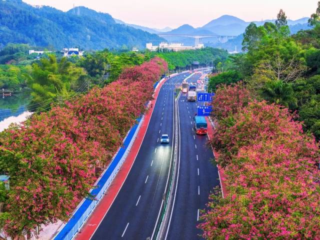 最美旅游公路從化段