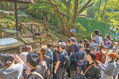 元旦假期廣州景區(qū)景點、商圈商場、餐廳食肆人氣暢旺游人如織