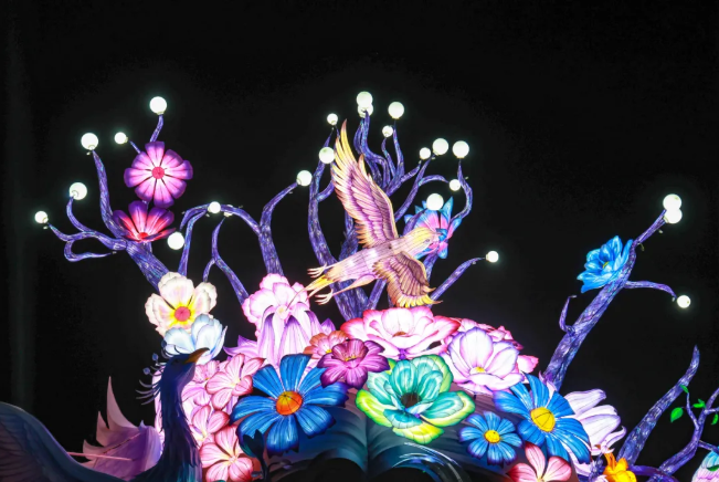 大灣區(qū)燈會震撼亮燈，附最新交通出行指引