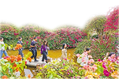 APEC，新年好！