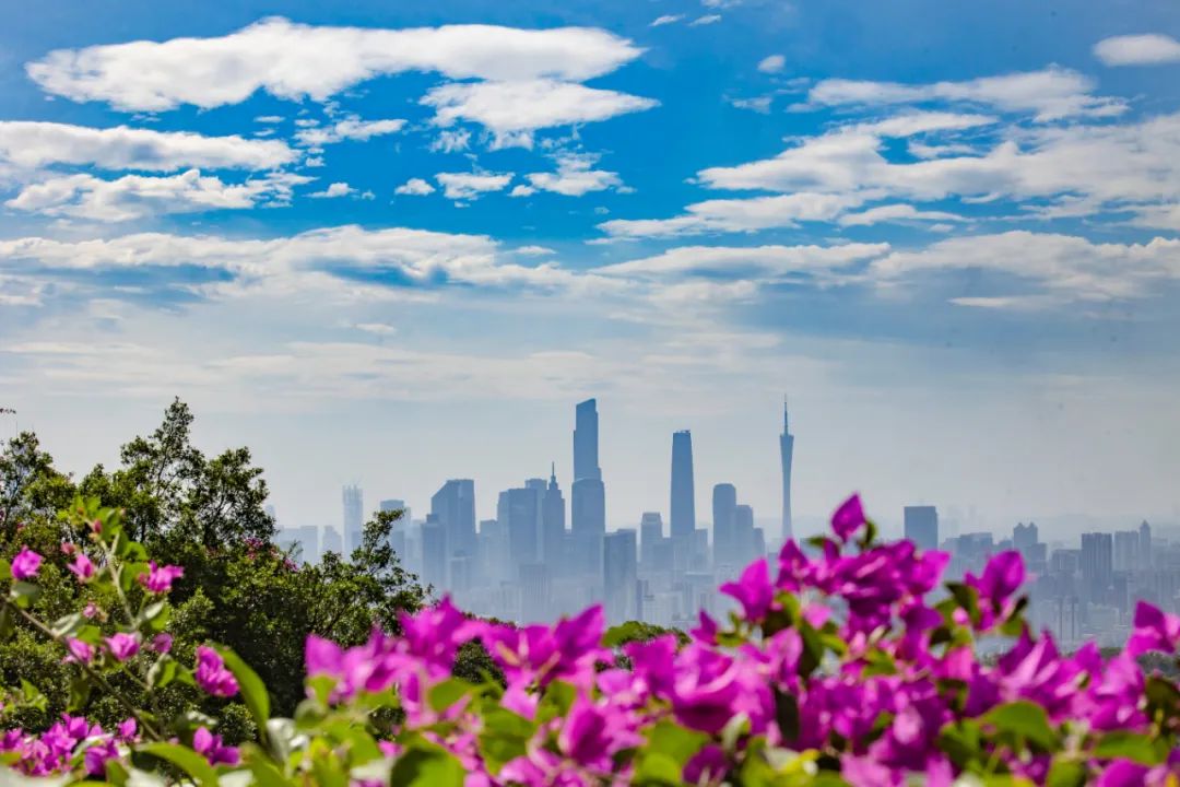 亞太經(jīng)合組織“中國(guó)年”看點(diǎn)多