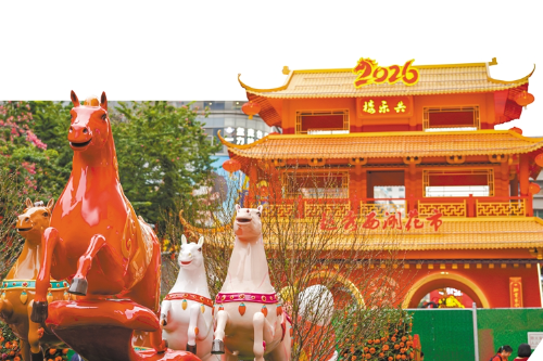 十一區(qū)花市牌樓 誰家頂流