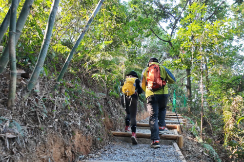 帽峰山上新2.7公里歸林康養(yǎng)步道