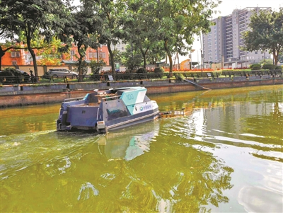 碧波蕩漾年味足 環(huán)衛(wèi)堅守暖羊城