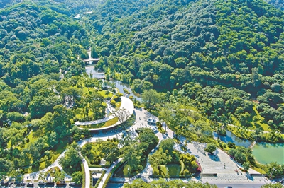 廣州深入推進(jìn)全民義務(wù)植樹(shù)高質(zhì)量發(fā)展 書(shū)寫(xiě)國(guó)際化山水園林城市“出新出彩”綠色答卷