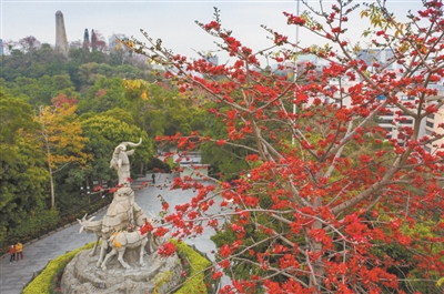 2026廣州“英雄花開英雄城”系列活動(dòng)吸引線上線下逾三億人次參與互動(dòng)