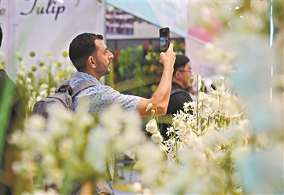 廣交會二期4月23日開幕 廣東家居、時尚飾品展現(xiàn)獨特魅力