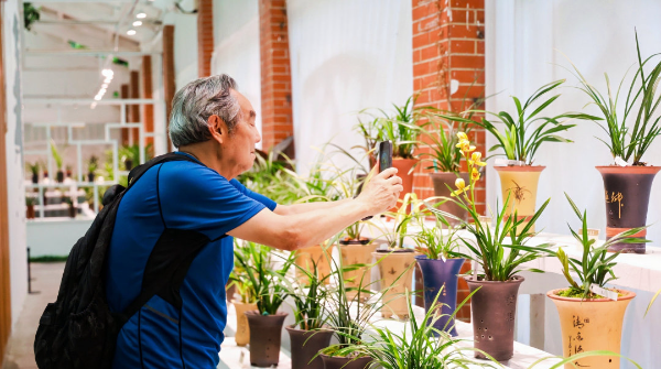 珍稀蘭展、十雅互動(dòng)、夜間游園……2026“蘭緣盛薈·花開(kāi)越秀”文旅周開(kāi)幕