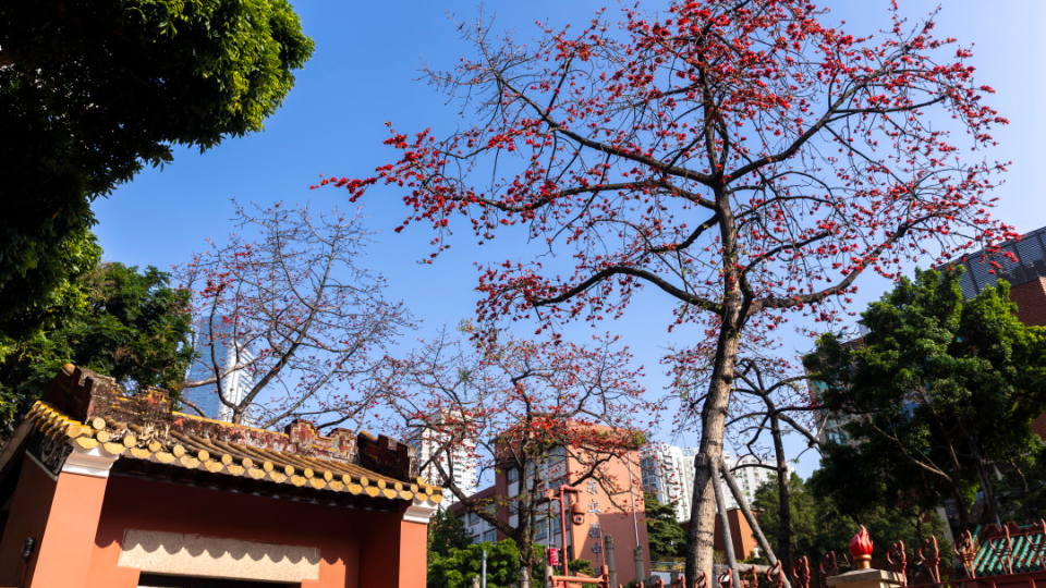 在熱土上扎根 在奮斗中閃光——寫(xiě)在共青團(tuán)廣州市第十七次代表大會(huì)開(kāi)幕之際