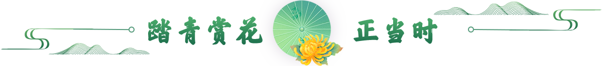 踏青賞花正當時