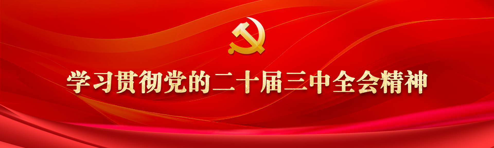 學(xué)習(xí)貫徹黨的二十屆三中全會精神